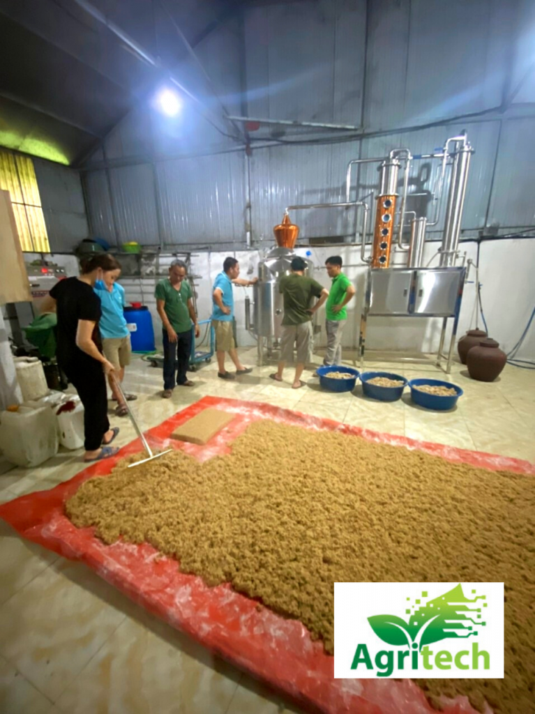 quy trình sản xuất rượu gạo
